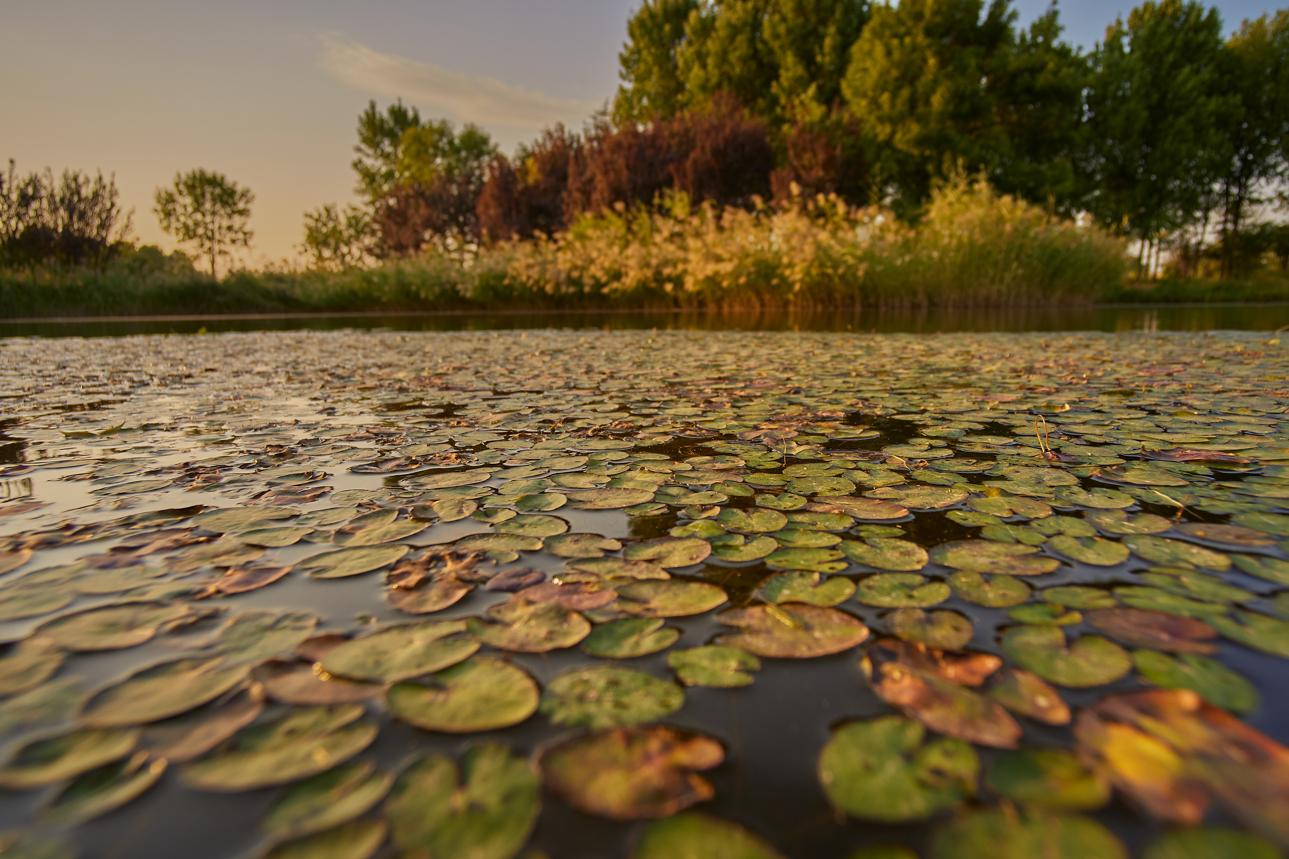 12mm F2.8Ⅰ  样片展示