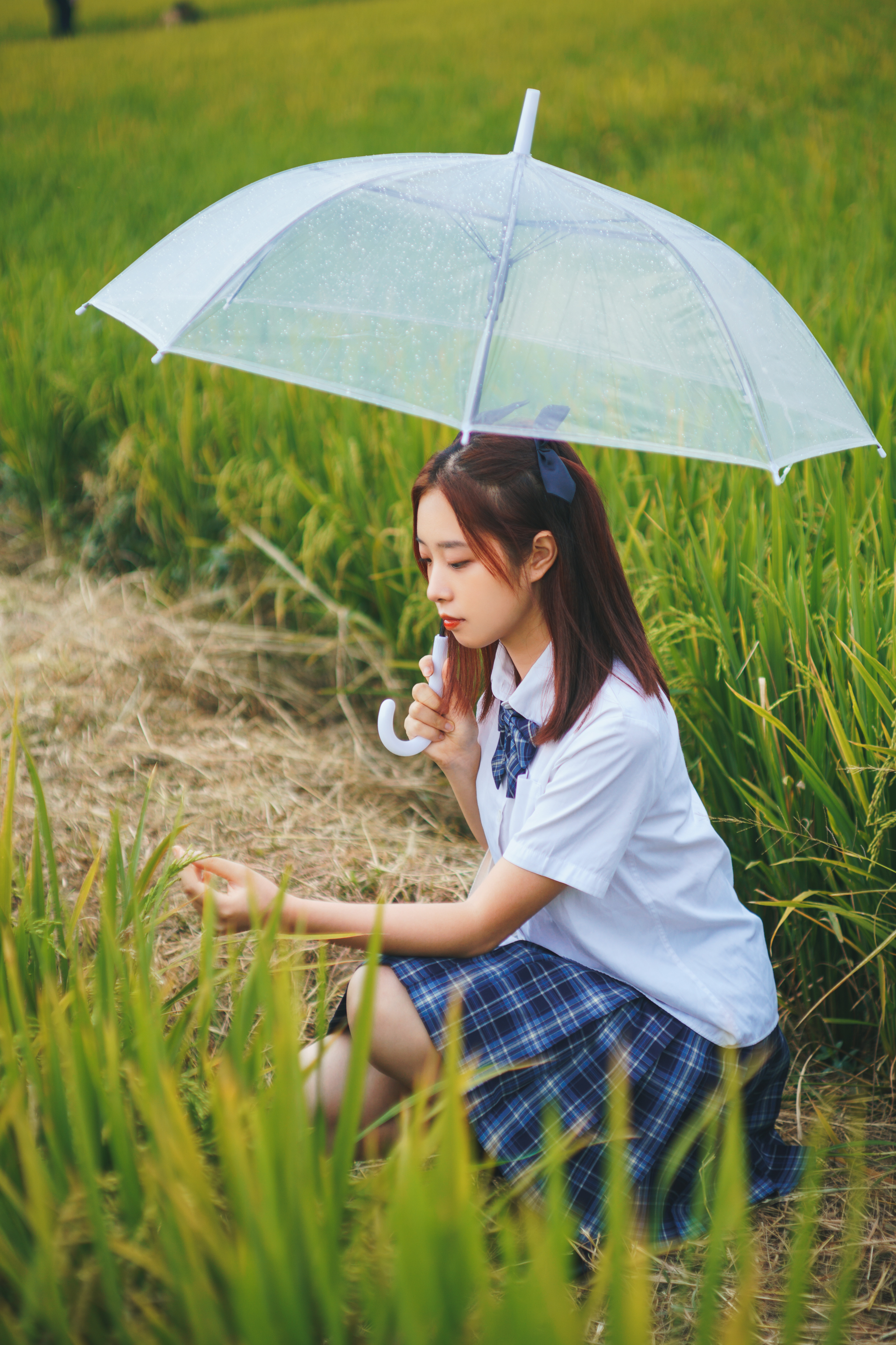 55mm F1.4Ⅰ  样片展示