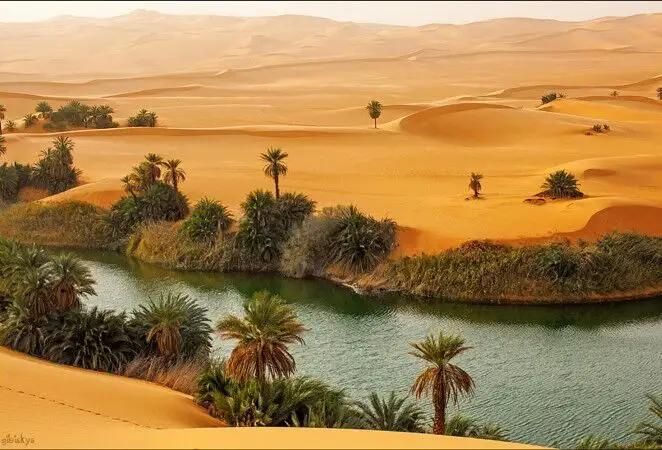 网传“沙漠湖泊”美景 或许并不是一件好事