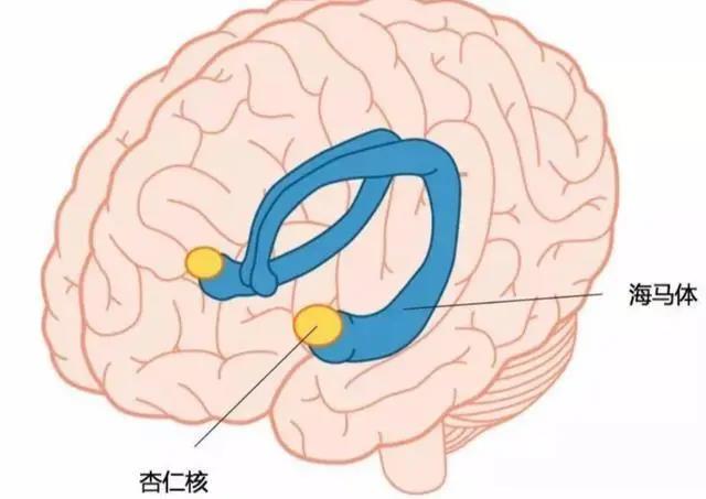 “曼德拉效应”越发明显，人类被集体改了记忆？还是有平行宇宙？