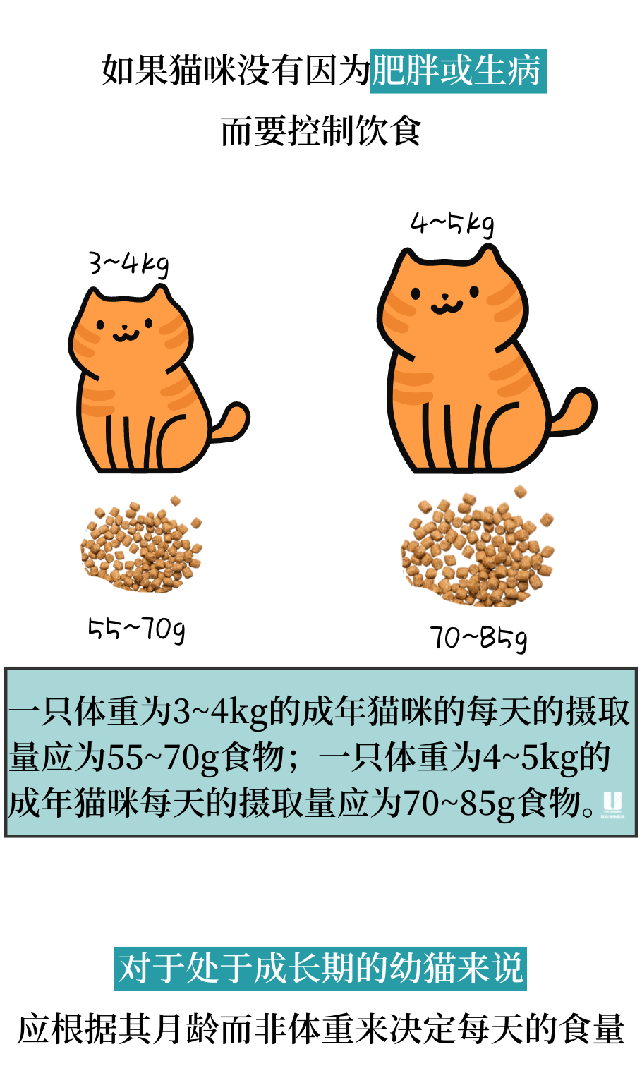 秒懂猫咪每天需要吃多少食物！