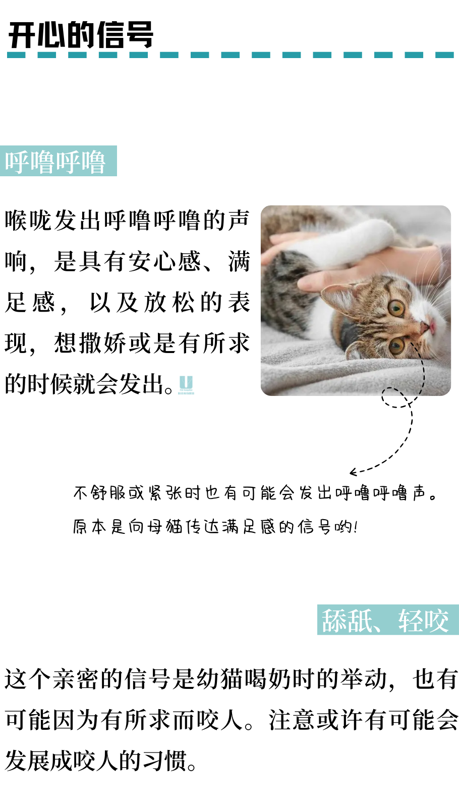 轻易被小猫咪CPU？那是因为你不懂它！