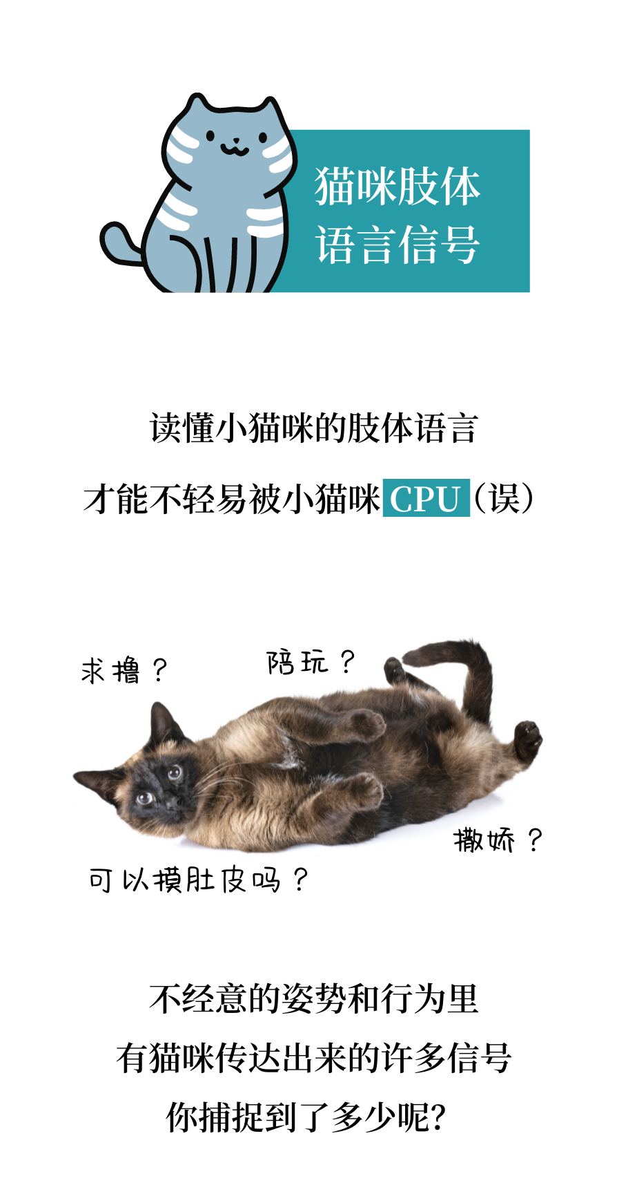 轻易被小猫咪CPU？那是因为你不懂它！