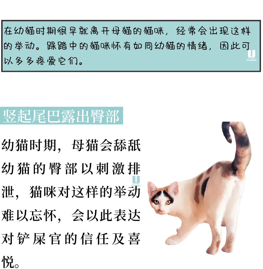 轻易被小猫咪CPU？那是因为你不懂它！