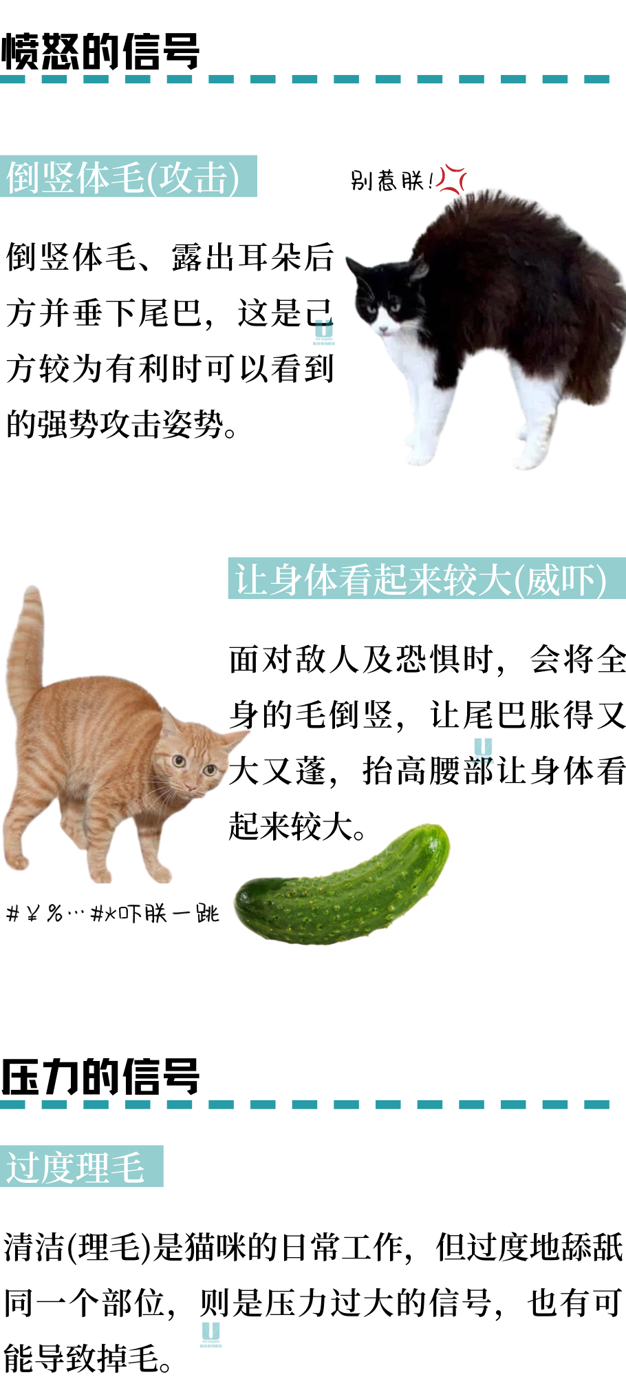 轻易被小猫咪CPU？那是因为你不懂它！