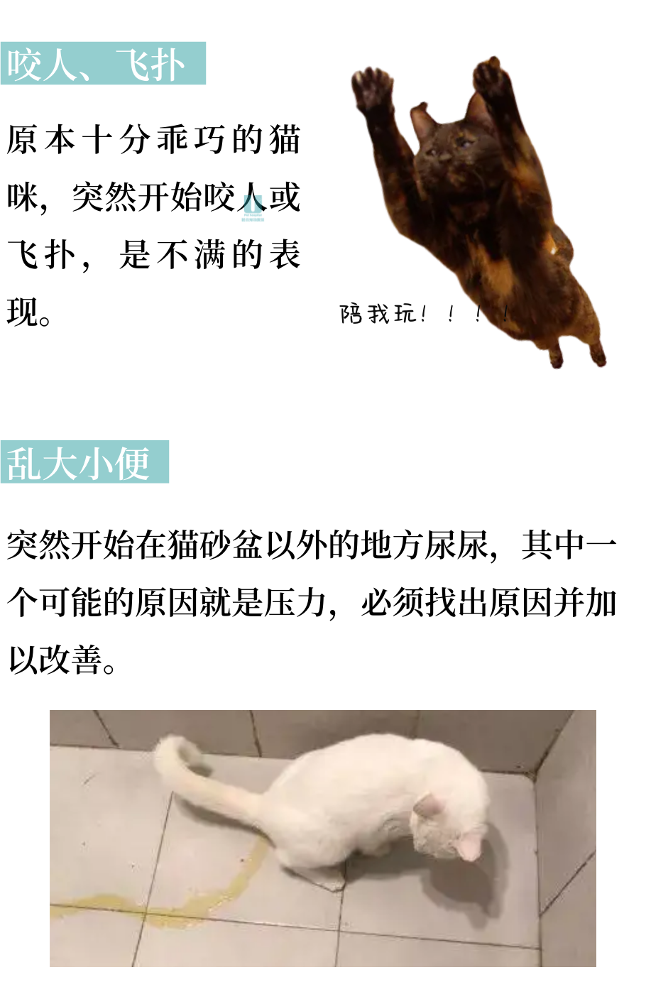 轻易被小猫咪CPU？那是因为你不懂它！