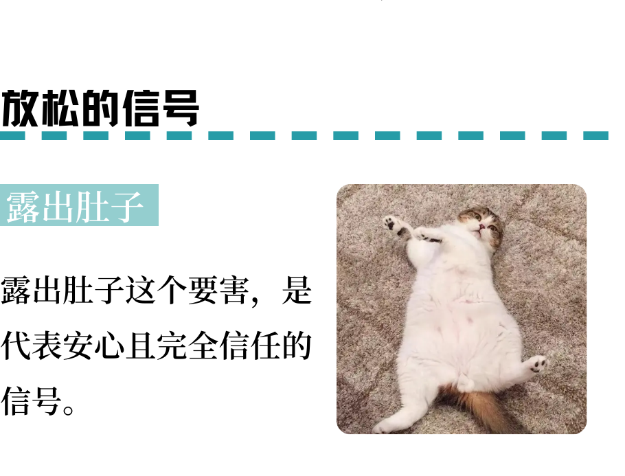 轻易被小猫咪CPU？那是因为你不懂它！