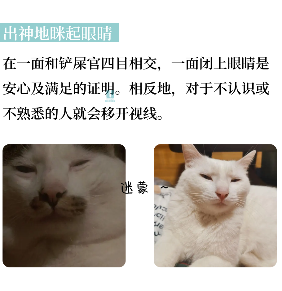 轻易被小猫咪CPU？那是因为你不懂它！