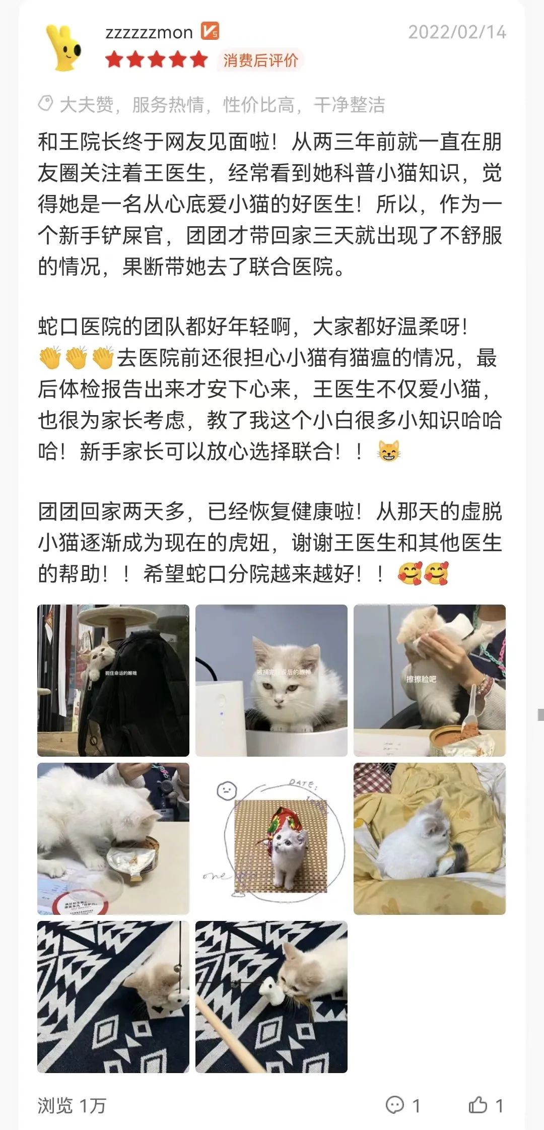 猫咪是真爱，孩子是意外篇……