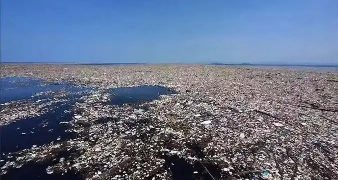 又一艘豪华游轮官宣 近万人的载客量怎么处理污水和垃圾？