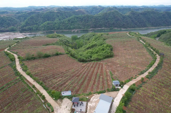 李佐军、孙文华、陈思雨：县域城镇化：中国区域发展新动力