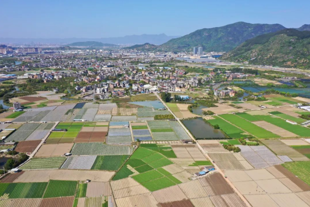 观点：发展新型集体经济　促进乡村振兴和共同富裕