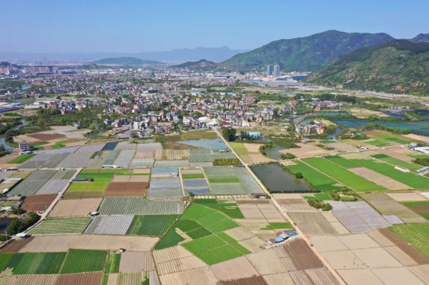 观点：完善农村基本经营制度　夯实乡村振兴发展根基