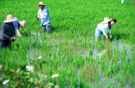 闵庆文、曹幸穗、吴敏芳：农业文化遗产：千年智慧 启迪未来