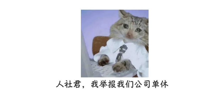 公司单休合法吗？