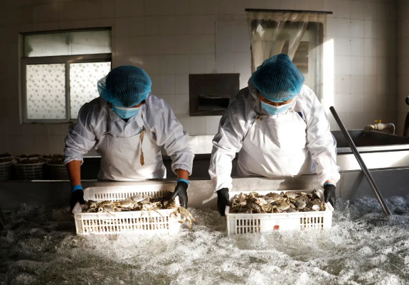 包振民、陈松林、刘家寿：怎样向江河湖海要食物