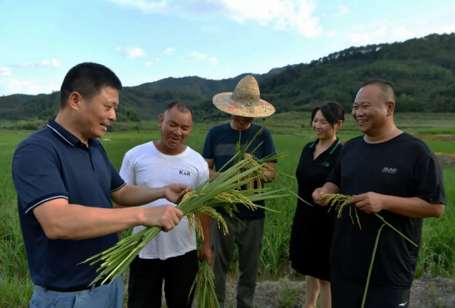 观点：深入推行科技特派员制度 推进乡村全面振兴