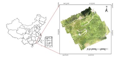 Application of Resonon Pika L Hyperspectral Imaging 