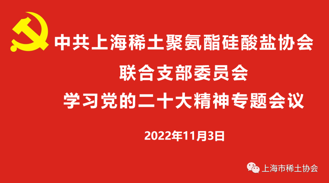 稀土协会联合支部召开学习党的二十大精神专题会议