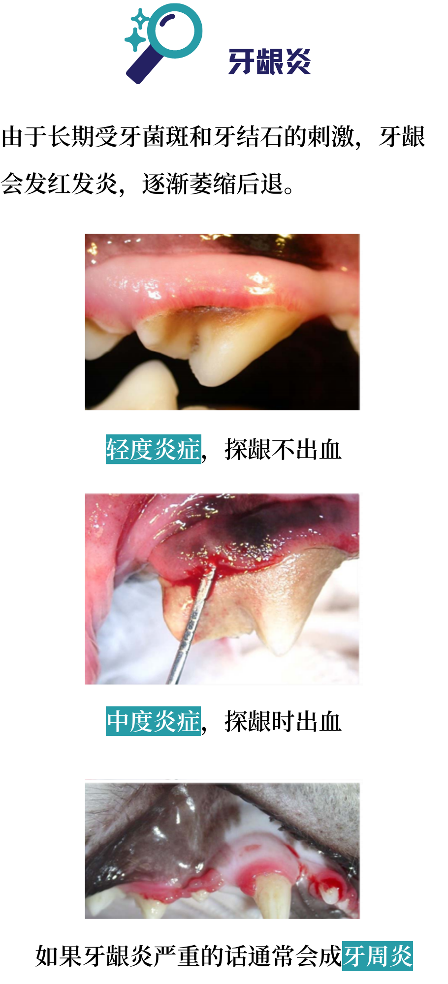 没有口臭的小猫咪实在是太罕见了！