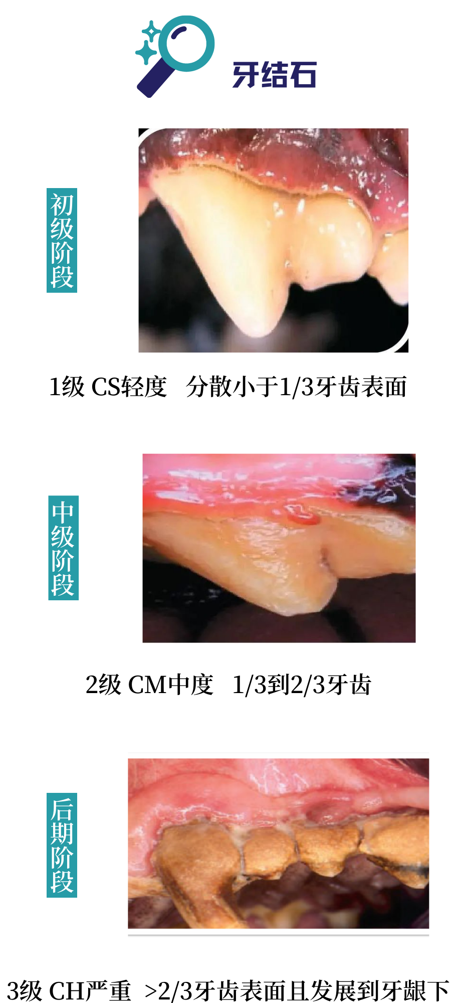 没有口臭的小猫咪实在是太罕见了！