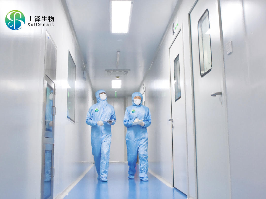 士泽生物A1轮融资超两亿元，加速推进iPS衍生细胞药治疗神经系统疾病管线的研发 | 融资