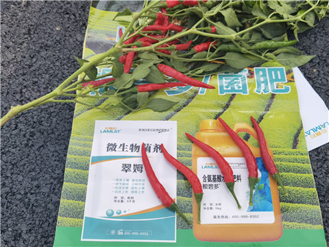 水溶肥很多种植户都喜爱的好肥料，人人都想使用