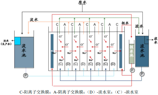 2023年离子交换膜行业下游细分应用市场发展规模前景预测及竞争战略研究