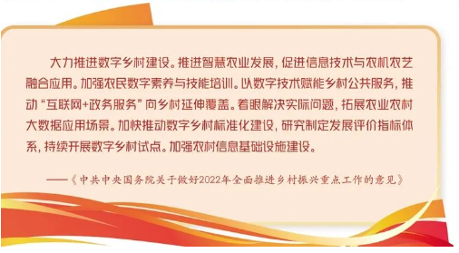 彭 超：数字乡村建设成效分析与关键问题