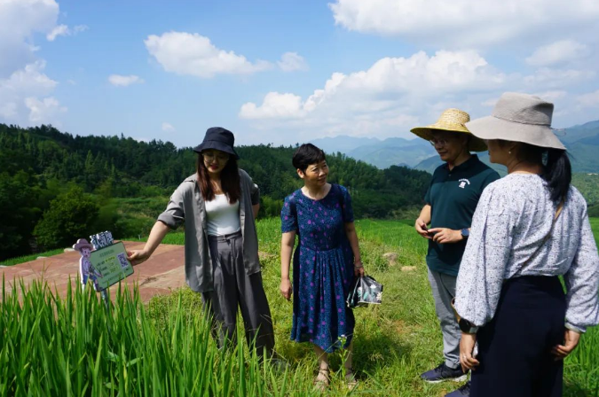 “粮食安全屏南行动”1.0到4.0