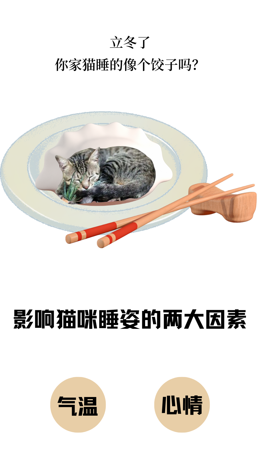 如何从猫咪睡姿判断它的状态？