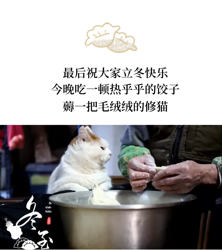 如何从猫咪睡姿判断它的状态？