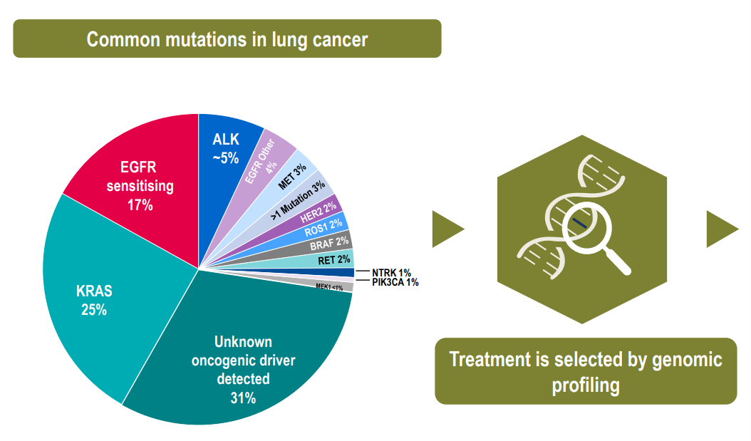 ESMO（欧洲肿瘤协会）内刊：肺癌分型和占比、肺癌中不同基因突变占比