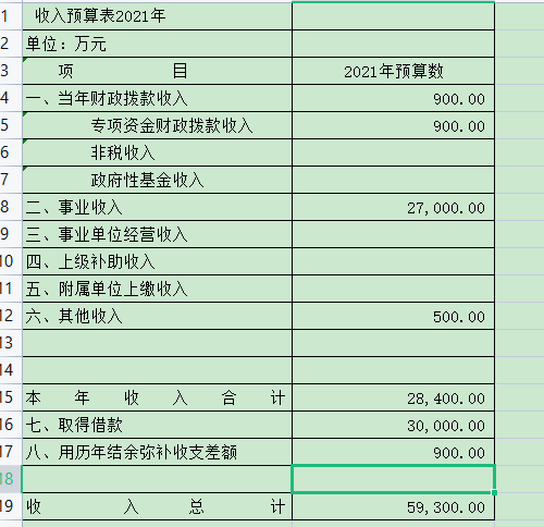 收入预算表