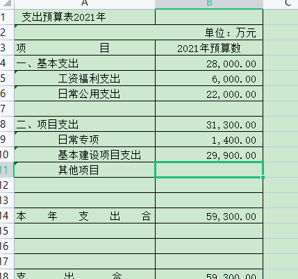 2021年支出预算表