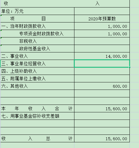 2020年收入预算表