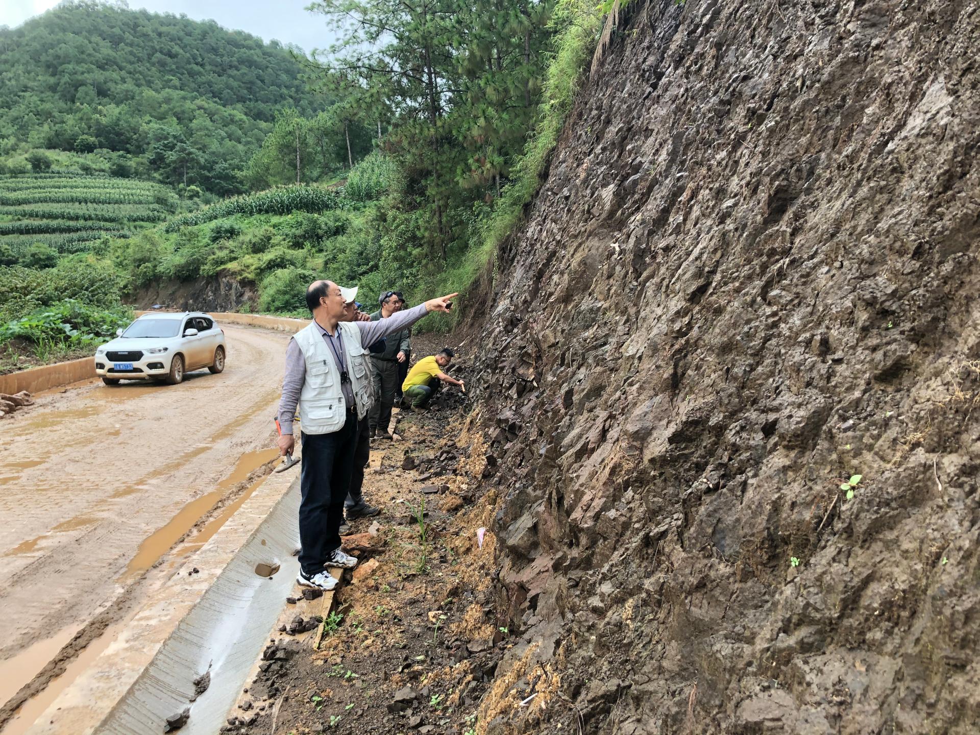 【善洲故里 高山硒都】“乡”“土”科技赋能施甸乡村振兴