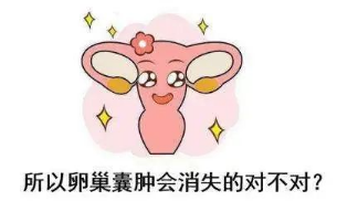 六个影响我试管进程的绊脚石需要等多久? 六个影响我试管进程的绊脚石需要等多久?