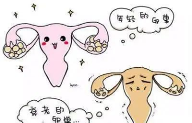 卵巢已经早衰，如何在试管婴儿中逆袭？