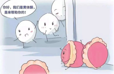 移植前的内膜转化,为什么越转化越薄呢? 移植前的内膜转化,为什么越转化越薄呢?