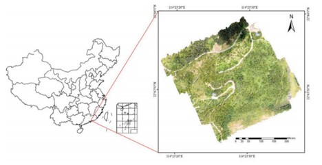 Resonon | Pika L高光谱成像在亚热带阔叶森林单木分割和树种分类上的应用