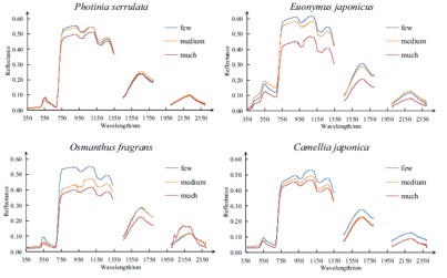 Identification and characteristic analysis of urban vegetation spectra 