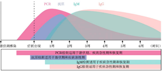 2023年新冠检测行业重点企业市场份额占比分析及竞争规模格局评估预测