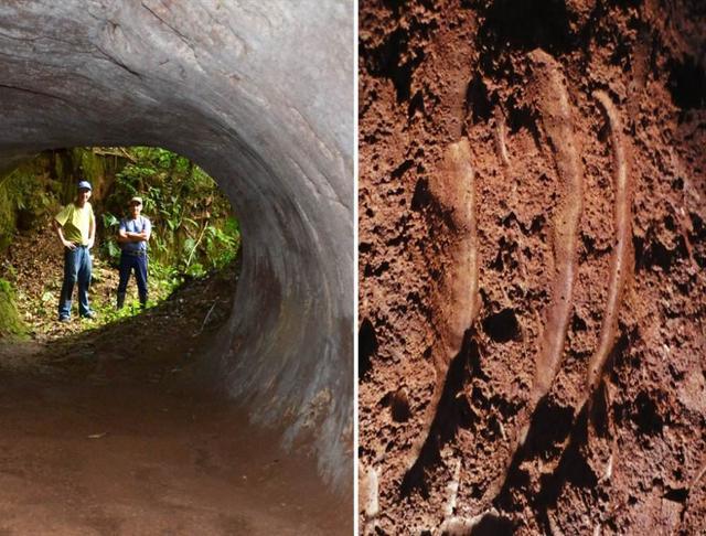 巴西13000年前的史前隧道，不是人类建造，那是谁？