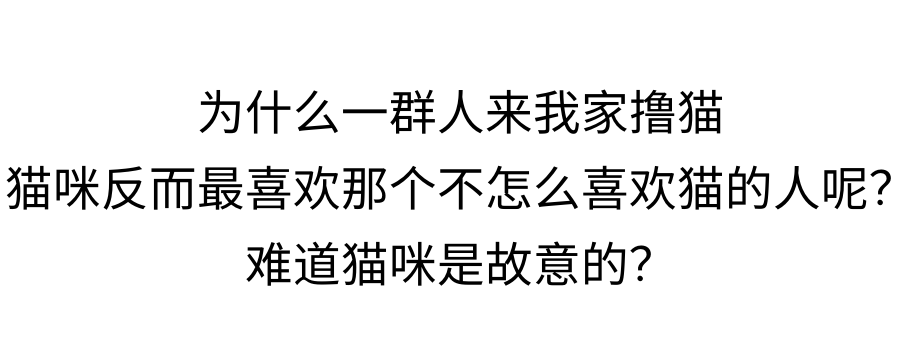 你可能真的没有懂过你家小猫咪！