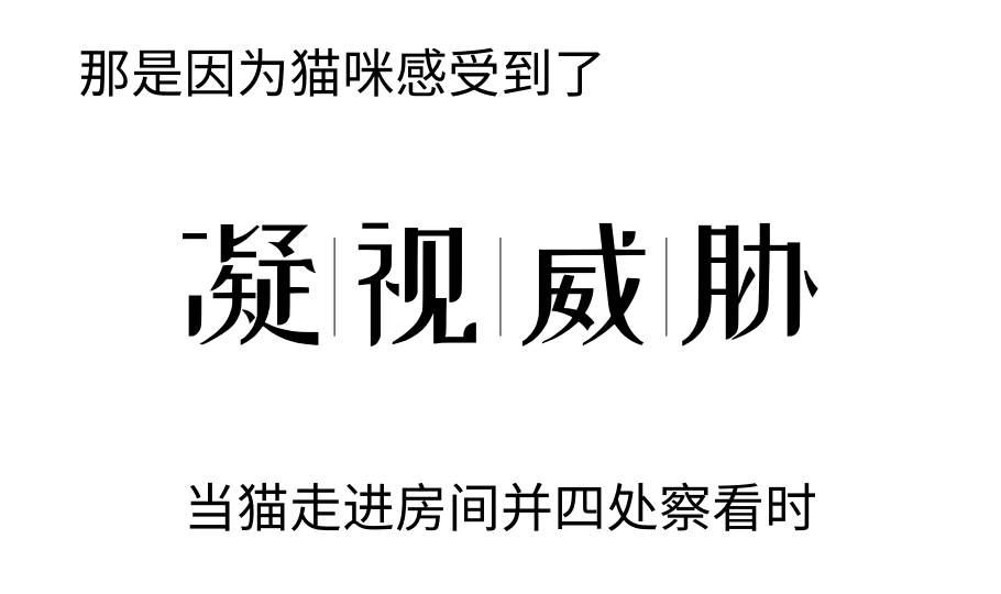 你可能真的没有懂过你家小猫咪！