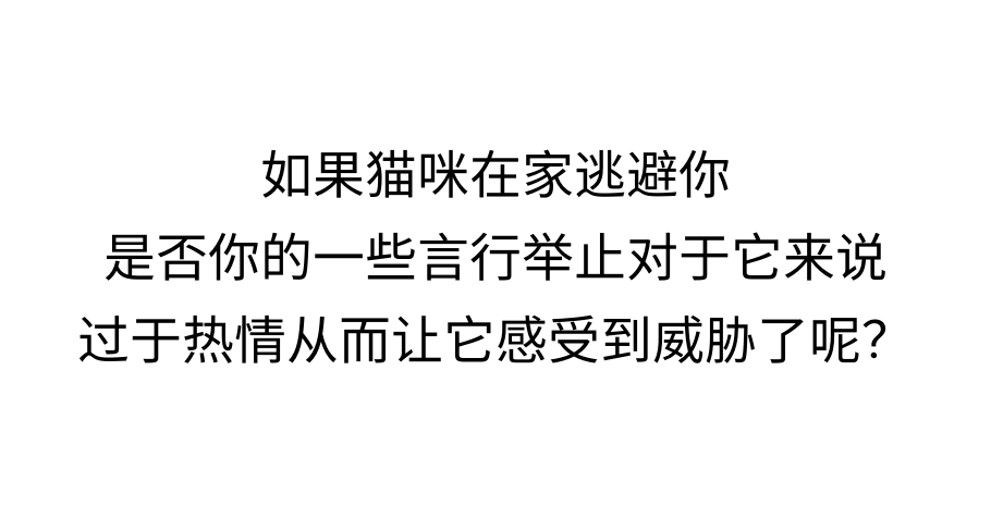 你可能真的没有懂过你家小猫咪！