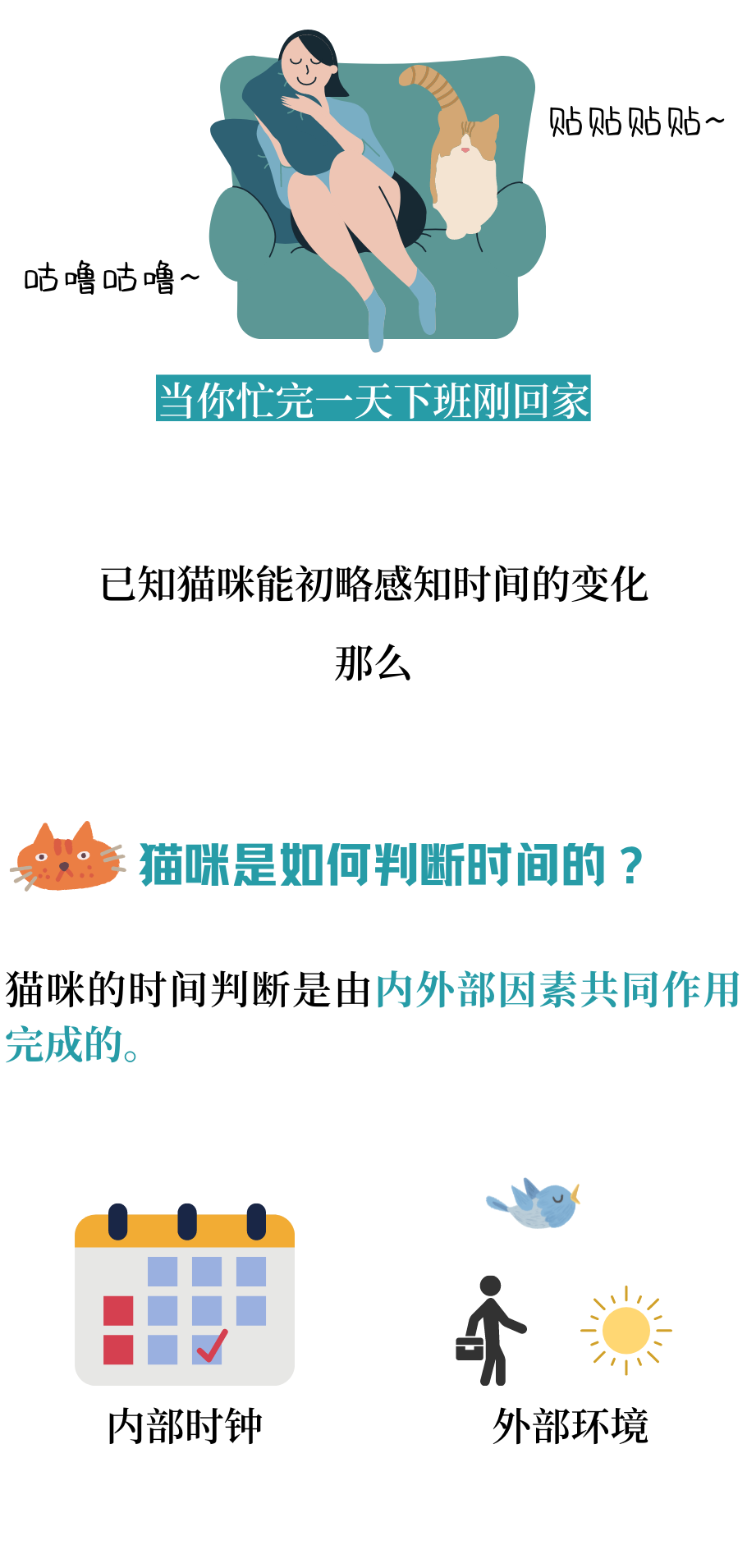 猫咪会有时间观念吗？