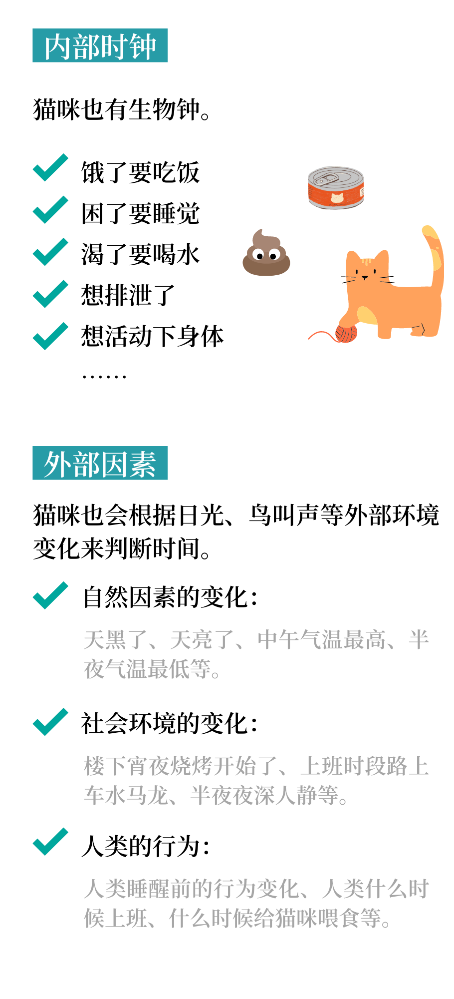 猫咪会有时间观念吗？