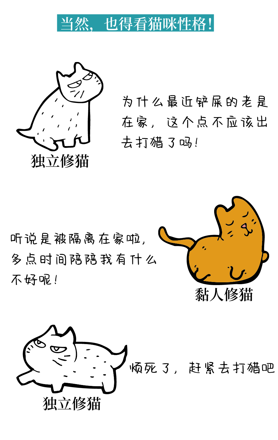 猫咪会有时间观念吗？